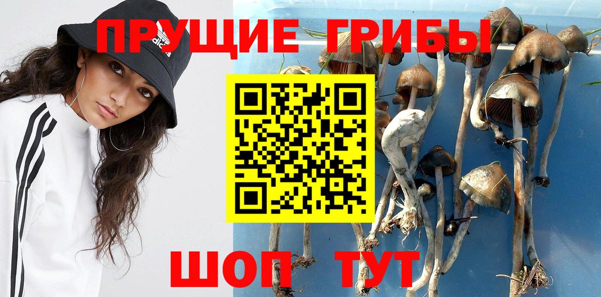 Галлюциногенные грибы MAGIC MUSHROOMS Красноармейск