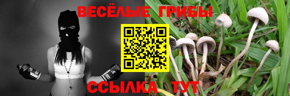 Красноармейск  Галлюциногенные грибы мицелий  Вход с VPN  Галлюциногенные грибы мицелий 